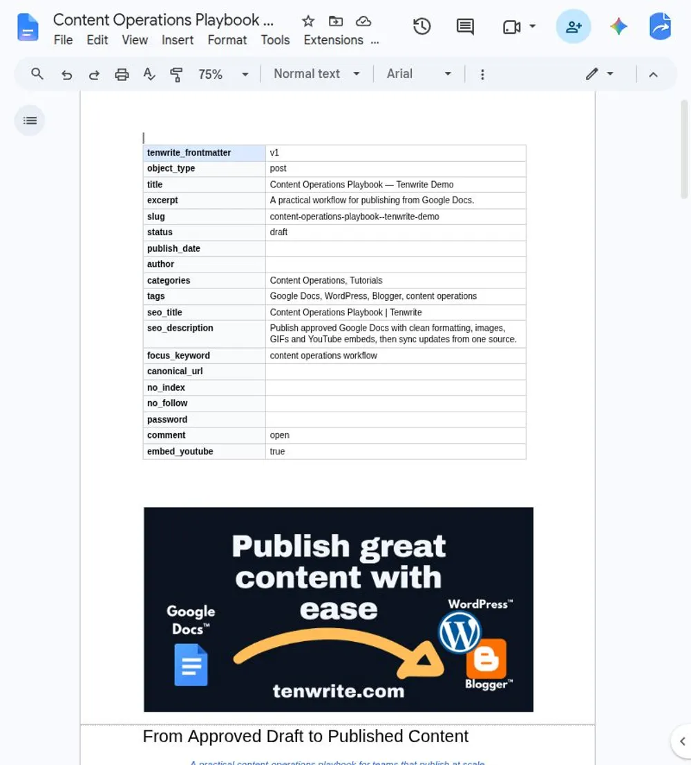 Google Doc with a Tenwrite frontmatter table containing publishing details, SEO title, meta description, focus keyword, and indexing settings